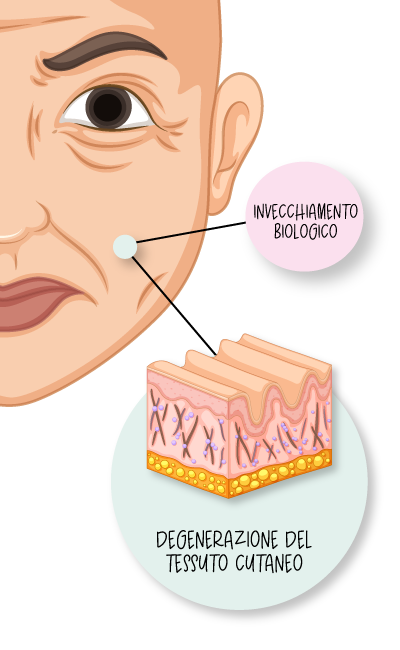 Invecchiamento biologico